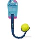 Coachi Chase & Treat, Ideal for Hunting & Playing, Agility & Distance Training, Promotes Interaction, Good for Motivation, Distance Reward Training & Promotes Fetch. For Dogs and Puppies