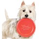 Collections Etc Kikkerland Kobe Frisbees for Dogs Collections Etc Kikkerland Kobe Frisbees for Dogs