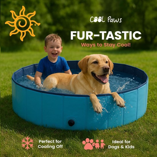 Cool Paws Collapsible Dog Pool 80 x 30 cm - Foldable Plastic Paddling Pool for Dogs and Cats Leakproof Indoor Outdoor Portable Kids Pool (Blue, Small) Cool Paws Collapsible Dog Pool 80 x 30 cm - Foldable Plastic Paddling Pool for Dogs and Cats Leakproof Indoor Outdoor Portable Kids Pool (Blue, Small)