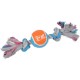 Corde with tennis ball 30 cm for chien Corde with tennis ball 30 cm for chien