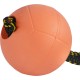 DINGO GEAR Magnetic Dog Training Kit: Encased Magnet, Red Nylcot & Genuine Leather Bite Puller DINGO GEAR Magnetic Dog Training Kit: Encased Magnet, Red Nylcot & Genuine Leather Bite Puller