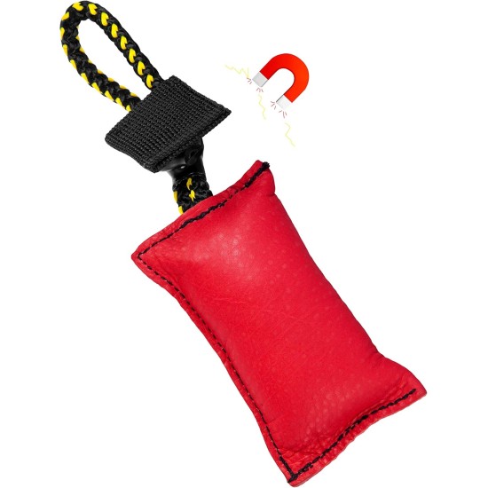 DINGO GEAR Magnetic Dog Training Kit: Encased Magnet, Red Nylcot & Genuine Leather Bite Puller DINGO GEAR Magnetic Dog Training Kit: Encased Magnet, Red Nylcot & Genuine Leather Bite Puller
