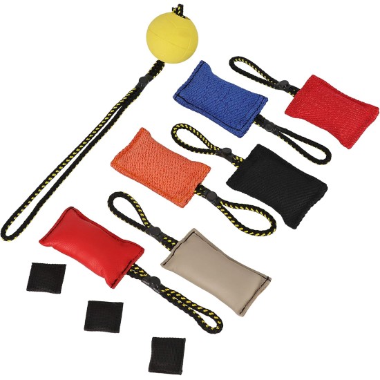 DINGO GEAR Magnetic Dog Training Kit: Encased Magnet, Red Nylcot & Genuine Leather Bite Puller DINGO GEAR Magnetic Dog Training Kit: Encased Magnet, Red Nylcot & Genuine Leather Bite Puller