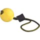 DINGO GEAR Magnetic Dog Training Kit: Encased Magnet, Red Nylcot & Genuine Leather Bite Puller DINGO GEAR Magnetic Dog Training Kit: Encased Magnet, Red Nylcot & Genuine Leather Bite Puller