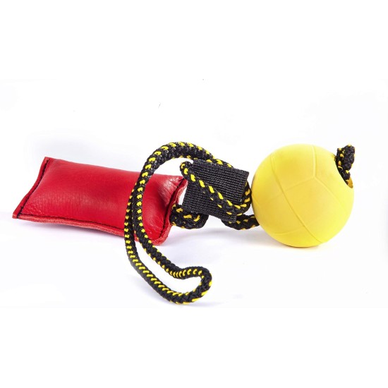 DINGO GEAR Magnetic Dog Training Kit: Encased Magnet, Red Nylcot & Genuine Leather Bite Puller DINGO GEAR Magnetic Dog Training Kit: Encased Magnet, Red Nylcot & Genuine Leather Bite Puller