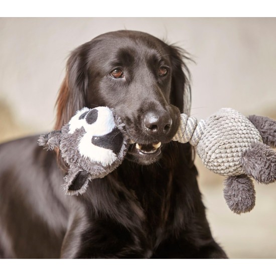 Dehner Racoon dog toy with squeaker, approximately 34 cm x 15 cm, sisal/plush, grey Dehner Racoon dog toy with squeaker, approximately 34 cm x 15 cm, sisal/plush, grey