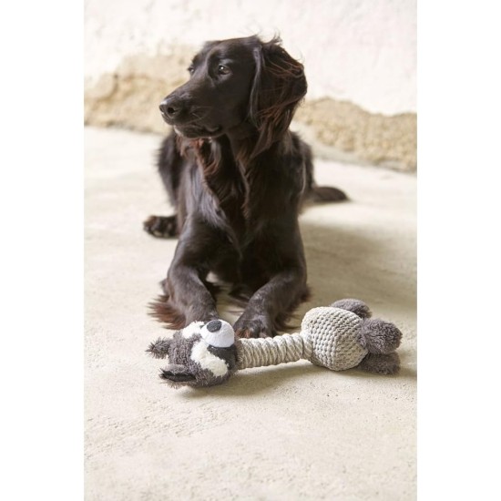 Dehner Racoon dog toy with squeaker, approximately 34 cm x 15 cm, sisal/plush, grey Dehner Racoon dog toy with squeaker, approximately 34 cm x 15 cm, sisal/plush, grey