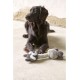 Dehner Racoon dog toy with squeaker, approximately 34 cm x 15 cm, sisal/plush, grey Dehner Racoon dog toy with squeaker, approximately 34 cm x 15 cm, sisal/plush, grey
