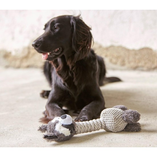 Dehner Racoon dog toy with squeaker, approximately 34 cm x 15 cm, sisal/plush, grey Dehner Racoon dog toy with squeaker, approximately 34 cm x 15 cm, sisal/plush, grey