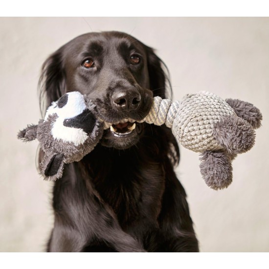 Dehner Racoon dog toy with squeaker, approximately 34 cm x 15 cm, sisal/plush, grey Dehner Racoon dog toy with squeaker, approximately 34 cm x 15 cm, sisal/plush, grey