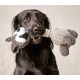 Dehner Racoon dog toy with squeaker, approximately 34 cm x 15 cm, sisal/plush, grey Dehner Racoon dog toy with squeaker, approximately 34 cm x 15 cm, sisal/plush, grey