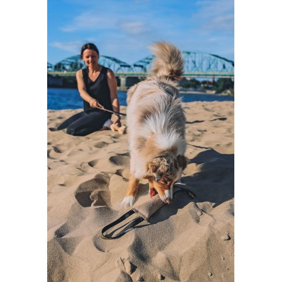 Dingo 10553-2 Jute Teething Sausage 2 Handles Reinforced Dog Training Game with Dog Fetch Training Handmade Length 60 cm Natural Colour Dingo 10553-2 Jute Teething Sausage 2 Handles Reinforced Dog Training Game with Dog Fetch Training Handmade Length 60 cm Natural Colour