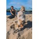 Dingo 10553-2 Jute Teething Sausage 2 Handles Reinforced Dog Training Game with Dog Fetch Training Handmade Length 60 cm Natural Colour Dingo 10553-2 Jute Teething Sausage 2 Handles Reinforced Dog Training Game with Dog Fetch Training Handmade Length 60 cm Natural Colour