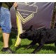 Dingo 10553-2 Jute Teething Sausage 2 Handles Reinforced Dog Training Game with Dog Fetch Training Handmade Length 60 cm Natural Colour Dingo 10553-2 Jute Teething Sausage 2 Handles Reinforced Dog Training Game with Dog Fetch Training Handmade Length 60 cm Natural Colour