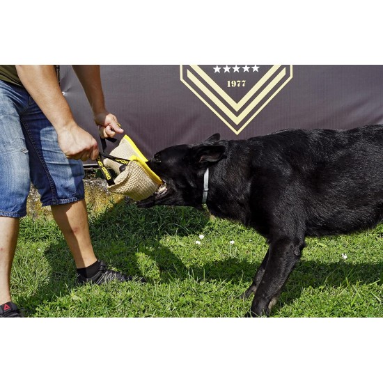 Dingo 10553-2 Jute Teething Sausage 2 Handles Reinforced Dog Training Game with Dog Fetch Training Handmade Length 60 cm Natural Colour Dingo 10553-2 Jute Teething Sausage 2 Handles Reinforced Dog Training Game with Dog Fetch Training Handmade Length 60 cm Natural Colour