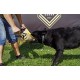 Dingo 10553-2 Jute Teething Sausage 2 Handles Reinforced Dog Training Game with Dog Fetch Training Handmade Length 60 cm Natural Colour Dingo 10553-2 Jute Teething Sausage 2 Handles Reinforced Dog Training Game with Dog Fetch Training Handmade Length 60 cm Natural Colour