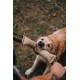 Dingo 10553-2 Jute Teething Sausage 2 Handles Reinforced Dog Training Game with Dog Fetch Training Handmade Length 60 cm Natural Colour Dingo 10553-2 Jute Teething Sausage 2 Handles Reinforced Dog Training Game with Dog Fetch Training Handmade Length 60 cm Natural Colour