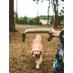 Dingo 10553-2 Jute Teething Sausage 2 Handles Reinforced Dog Training Game with Dog Fetch Training Handmade Length 60 cm Natural Colour Dingo 10553-2 Jute Teething Sausage 2 Handles Reinforced Dog Training Game with Dog Fetch Training Handmade Length 60 cm Natural Colour