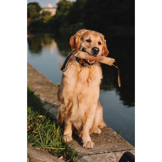 Dingo 10553-2 Jute Teething Sausage 2 Handles Reinforced Dog Training Game with Dog Fetch Training Handmade Length 60 cm Natural Colour Dingo 10553-2 Jute Teething Sausage 2 Handles Reinforced Dog Training Game with Dog Fetch Training Handmade Length 60 cm Natural Colour
