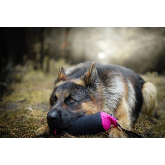 Dingo Gear Training Toy Nylcott French Material Training Game Apport IGP Obedience Fetch Game for Dog (Roller, Red) Dingo Gear Training Toy Nylcott French Material Training Game Apport IGP Obedience Fetch Game for Dog (Roller, Red)