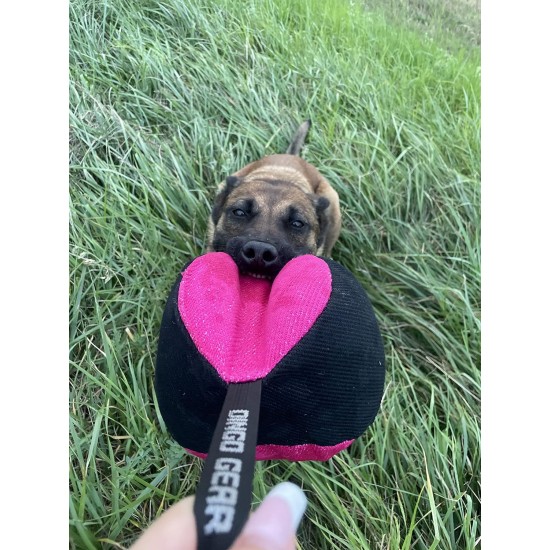 Dingo Gear Training Toy Nylcott French Material Training Game Apport IGP Obedience Fetch Game for Dog (Roller, Red) Dingo Gear Training Toy Nylcott French Material Training Game Apport IGP Obedience Fetch Game for Dog (Roller, Red)