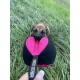 Dingo Gear Training Toy Nylcott French Material Training Game Apport IGP Obedience Fetch Game for Dog (Roller, Red) Dingo Gear Training Toy Nylcott French Material Training Game Apport IGP Obedience Fetch Game for Dog (Roller, Red)