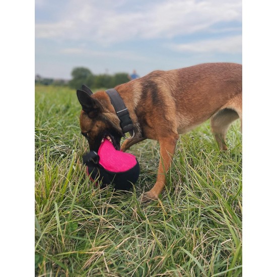 Dingo Gear Training Toy Nylcott French Material Training Game Apport IGP Obedience Fetch Game for Dog (Roller, Red) Dingo Gear Training Toy Nylcott French Material Training Game Apport IGP Obedience Fetch Game for Dog (Roller, Red)