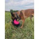 Dingo Gear Training Toy Nylcott French Material Training Game Apport IGP Obedience Fetch Game for Dog (Roller, Red) Dingo Gear Training Toy Nylcott French Material Training Game Apport IGP Obedience Fetch Game for Dog (Roller, Red)
