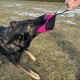 Dingo Gear Training Toy Nylcott French Material Training Game Apport IGP Obedience Fetch Game for Dog (Roller, Red) Dingo Gear Training Toy Nylcott French Material Training Game Apport IGP Obedience Fetch Game for Dog (Roller, Red)