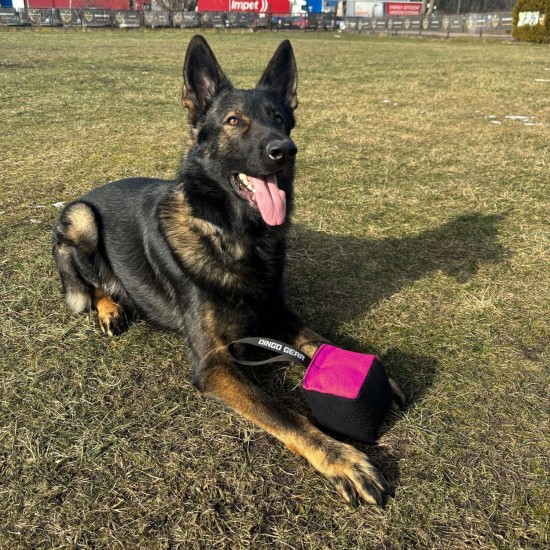 Dingo Gear Training Toy Nylcott French Material Training Game Apport IGP Obedience Fetch Game for Dog (Roller, Red) Dingo Gear Training Toy Nylcott French Material Training Game Apport IGP Obedience Fetch Game for Dog (Roller, Red)