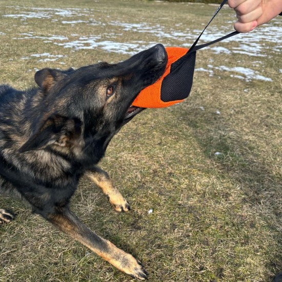 Dingo Gear Training Toy Nylcott French Material Training Game Apport IGP Obedience Fetch Game for Dog (Roller, Red) Dingo Gear Training Toy Nylcott French Material Training Game Apport IGP Obedience Fetch Game for Dog (Roller, Red)