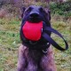 Dingo Gear Training Toy Nylcott French Material Training Game Apport IGP Obedience Fetch Game for Dog (Roller, Red) Dingo Gear Training Toy Nylcott French Material Training Game Apport IGP Obedience Fetch Game for Dog (Roller, Red)
