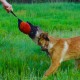 Dingo Gear Training Toy Nylcott French Material Training Game Apport IGP Obedience Fetch Game for Dog (Roller, Red) Dingo Gear Training Toy Nylcott French Material Training Game Apport IGP Obedience Fetch Game for Dog (Roller, Red)