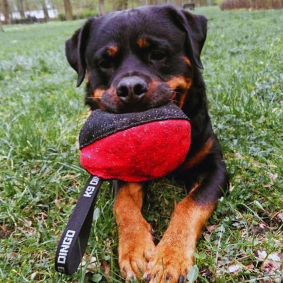 Dingo Gear Training Toy Nylcott French Material Training Game Apport IGP Obedience Fetch Game for Dog (Roller, Red) Dingo Gear Training Toy Nylcott French Material Training Game Apport IGP Obedience Fetch Game for Dog (Roller, Red)