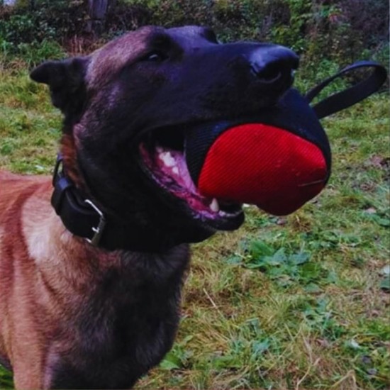 Dingo Gear Training Toy Nylcott French Material Training Game Apport IGP Obedience Fetch Game for Dog (Roller, Red) Dingo Gear Training Toy Nylcott French Material Training Game Apport IGP Obedience Fetch Game for Dog (Roller, Red)