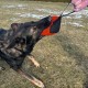 Dingo Gear Training Toy Nylcott French Material Training Game Apport IGP Obedience Fetch Game for Dog (Roller, Red) Dingo Gear Training Toy Nylcott French Material Training Game Apport IGP Obedience Fetch Game for Dog (Roller, Red)