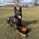 Dingo Gear Training Toy Nylcott French Material Training Game Apport IGP Obedience Fetch Game for Dog (Roller, Red) Dingo Gear Training Toy Nylcott French Material Training Game Apport IGP Obedience Fetch Game for Dog (Roller, Red)