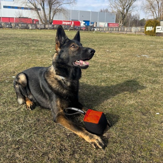 Dingo Gear Training Toy Nylcott French Material Training Game Apport IGP Obedience Fetch Game for Dog (Roller, Red) Dingo Gear Training Toy Nylcott French Material Training Game Apport IGP Obedience Fetch Game for Dog (Roller, Red)