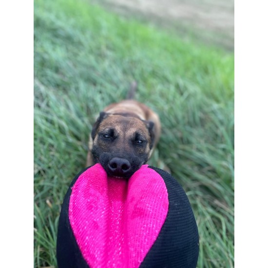 Dingo Gear Training Toy Nylcott French Material Training Game Apport IGP Obedience Fetch Game for Dog (Roller, Red) Dingo Gear Training Toy Nylcott French Material Training Game Apport IGP Obedience Fetch Game for Dog (Roller, Red)