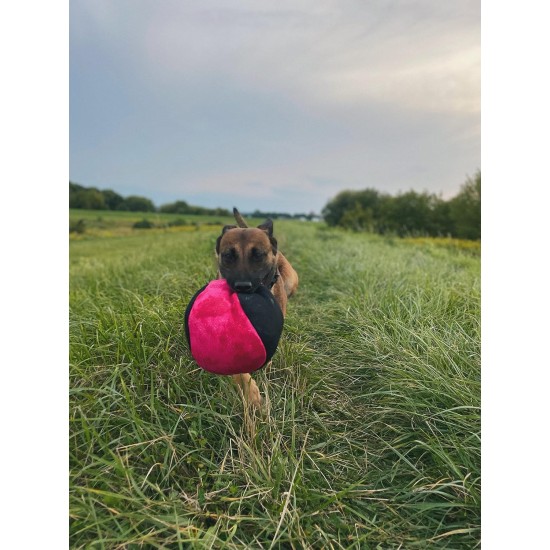 Dingo Gear Training Toy Nylcott French Material Training Game Apport IGP Obedience Fetch Game for Dog (Roller, Red) Dingo Gear Training Toy Nylcott French Material Training Game Apport IGP Obedience Fetch Game for Dog (Roller, Red)