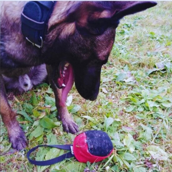 Dingo Gear Training Toy Nylcott French Material Training Game Apport IGP Obedience Fetch Game for Dog (Roller, Red) Dingo Gear Training Toy Nylcott French Material Training Game Apport IGP Obedience Fetch Game for Dog (Roller, Red)
