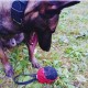 Dingo Gear Training Toy Nylcott French Material Training Game Apport IGP Obedience Fetch Game for Dog (Roller, Red) Dingo Gear Training Toy Nylcott French Material Training Game Apport IGP Obedience Fetch Game for Dog (Roller, Red)