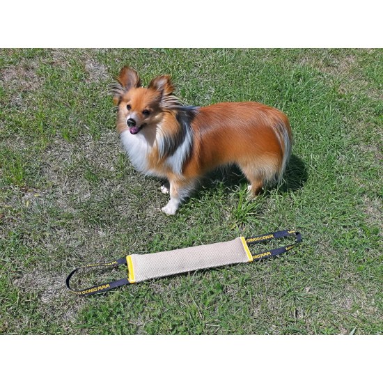 Dingo Jute Bite Training, 2 Handles, Dog Toy for Tugging and Biting - Medium to Large - Outdoor & Indoor - 40 x 6 cm Dingo Jute Bite Training, 2 Handles, Dog Toy for Tugging and Biting - Medium to Large - Outdoor & Indoor - 40 x 6 cm