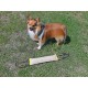 Dingo Jute Bite Training, 2 Handles, Dog Toy for Tugging and Biting - Medium to Large - Outdoor & Indoor - 40 x 6 cm Dingo Jute Bite Training, 2 Handles, Dog Toy for Tugging and Biting - Medium to Large - Outdoor & Indoor - 40 x 6 cm