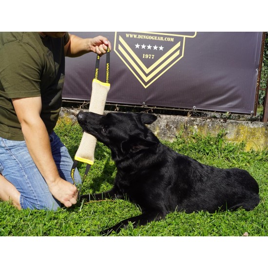 Dingo Jute Bite Training, 2 Handles, Dog Toy for Tugging and Biting - Medium to Large - Outdoor & Indoor - 40 x 6 cm Dingo Jute Bite Training, 2 Handles, Dog Toy for Tugging and Biting - Medium to Large - Outdoor & Indoor - 40 x 6 cm