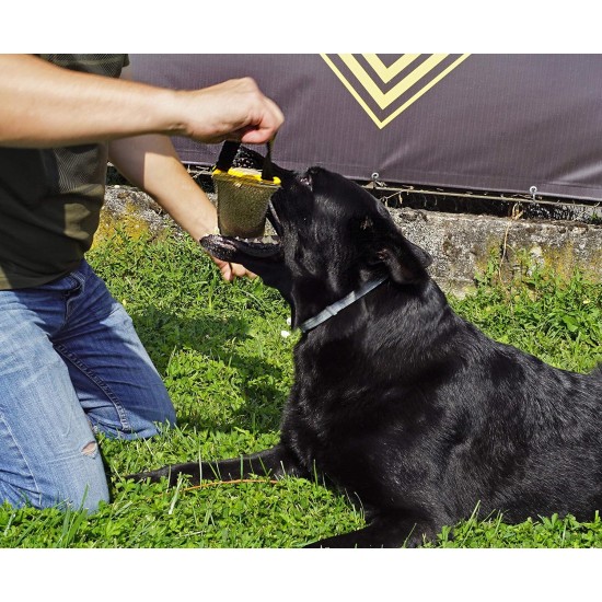 Dingo Jute Bite Training, 2 Handles, Dog Toy for Tugging and Biting - Medium to Large - Outdoor & Indoor - 40 x 6 cm Dingo Jute Bite Training, 2 Handles, Dog Toy for Tugging and Biting - Medium to Large - Outdoor & Indoor - 40 x 6 cm
