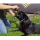Dingo Jute Bite Training, 2 Handles, Dog Toy for Tugging and Biting - Medium to Large - Outdoor & Indoor - 40 x 6 cm Dingo Jute Bite Training, 2 Handles, Dog Toy for Tugging and Biting - Medium to Large - Outdoor & Indoor - 40 x 6 cm