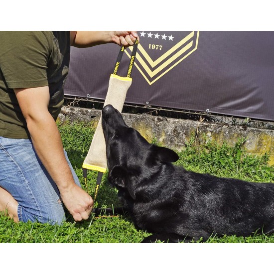 Dingo Jute Bite Training, 2 Handles, Dog Toy for Tugging and Biting - Medium to Large - Outdoor & Indoor - 40 x 6 cm Dingo Jute Bite Training, 2 Handles, Dog Toy for Tugging and Biting - Medium to Large - Outdoor & Indoor - 40 x 6 cm