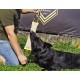 Dingo Jute Bite Training, 2 Handles, Dog Toy for Tugging and Biting - Medium to Large - Outdoor & Indoor - 40 x 6 cm Dingo Jute Bite Training, 2 Handles, Dog Toy for Tugging and Biting - Medium to Large - Outdoor & Indoor - 40 x 6 cm