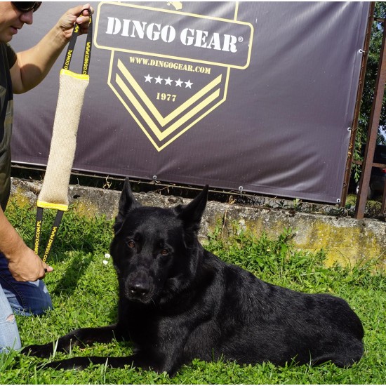 Dingo Jute Bite Training, 2 Handles, Dog Toy for Tugging and Biting - Medium to Large - Outdoor & Indoor - 40 x 6 cm Dingo Jute Bite Training, 2 Handles, Dog Toy for Tugging and Biting - Medium to Large - Outdoor & Indoor - 40 x 6 cm